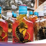 TERNYATA! 5 Hidangan Ular Paling Ekstrem di Asia yang Bikin Ngeri Sekaligus Penasaran – Ada Sup, Sate, hingga Darah!